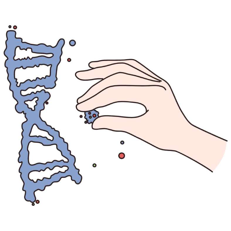 Causa genética del TDAH
