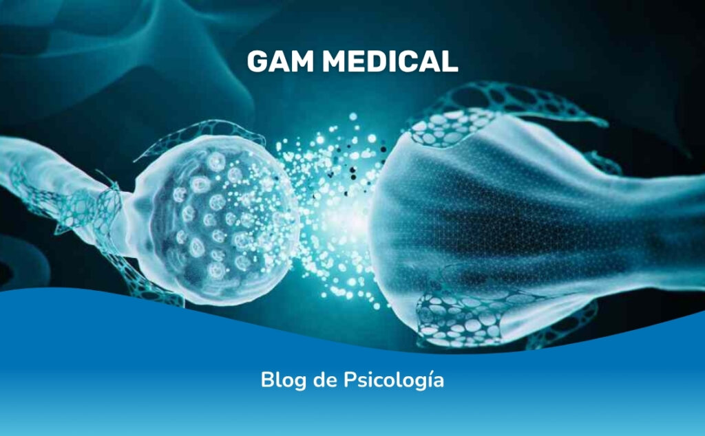 Neurotransmisores: Funcionamiento y Alteraciones