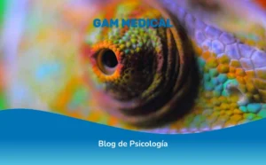 Estrategias de adaptación social en neurodivergencias