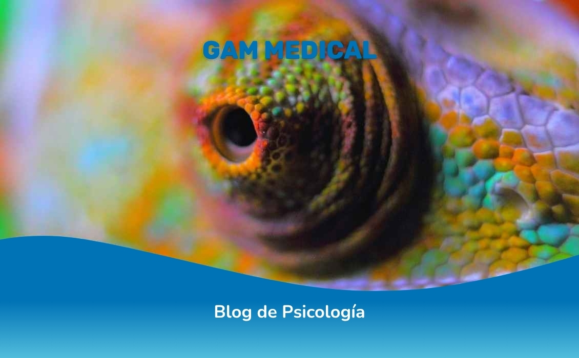 Estrategias de adaptación social en neurodivergencias